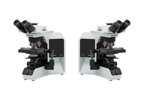 BX43-P.jpg